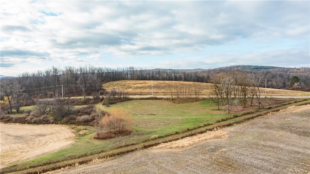 Woolhouse Road Canandaigua, NY 14424 - Photo 24 of 39