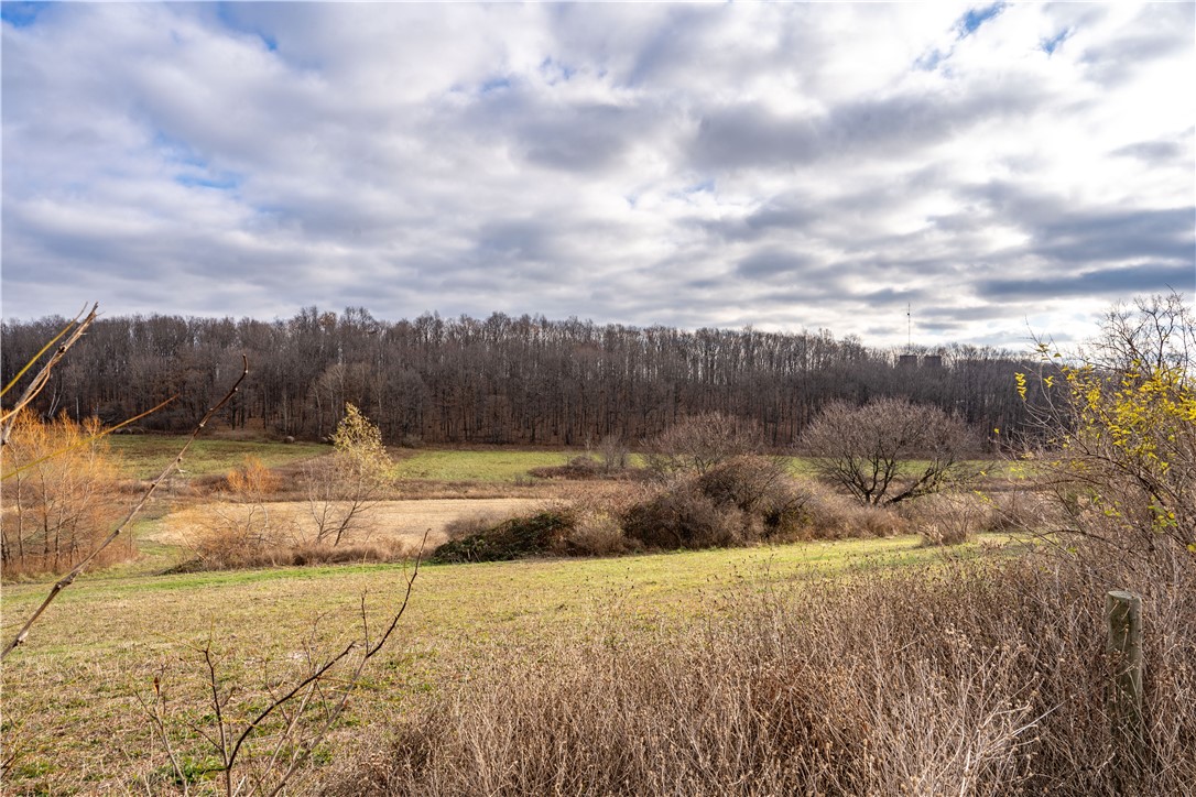 Woolhouse Road Canandaigua, NY 14424 - Photo 3 of 39