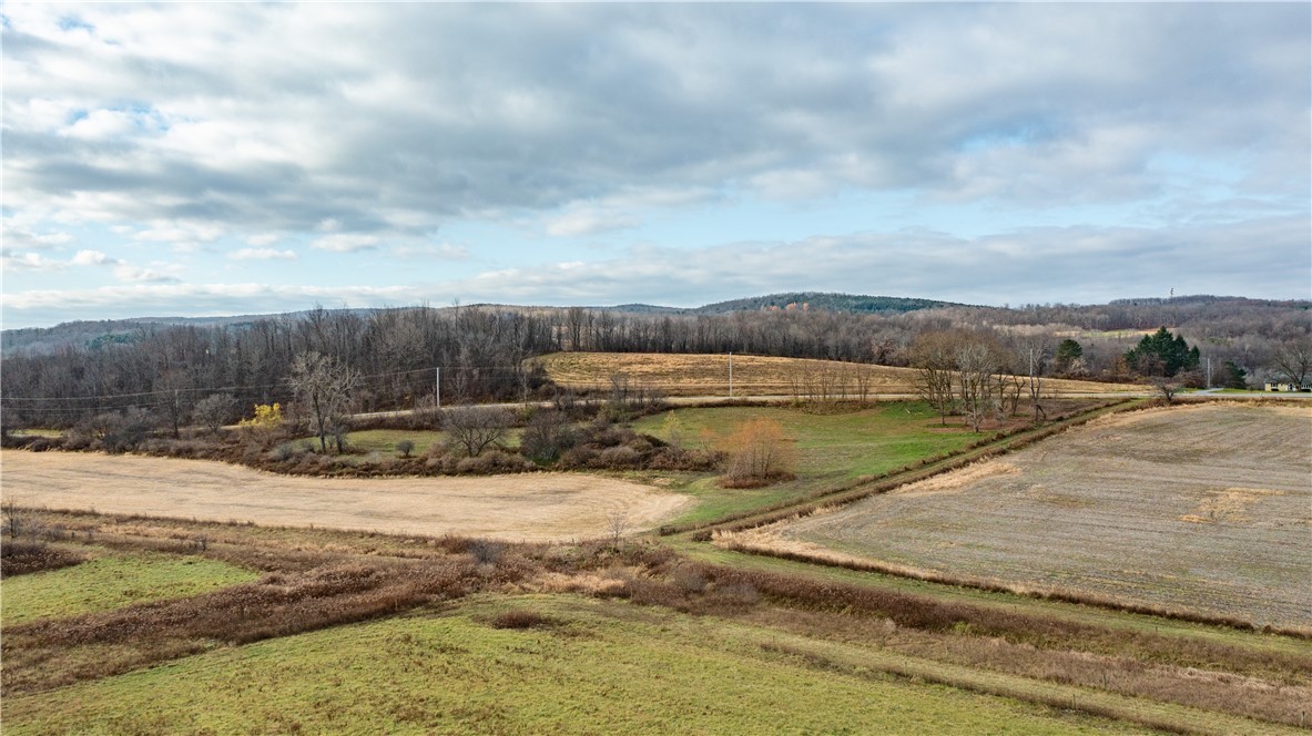 Woolhouse Road Canandaigua, NY 14424 - Photo 33 of 39