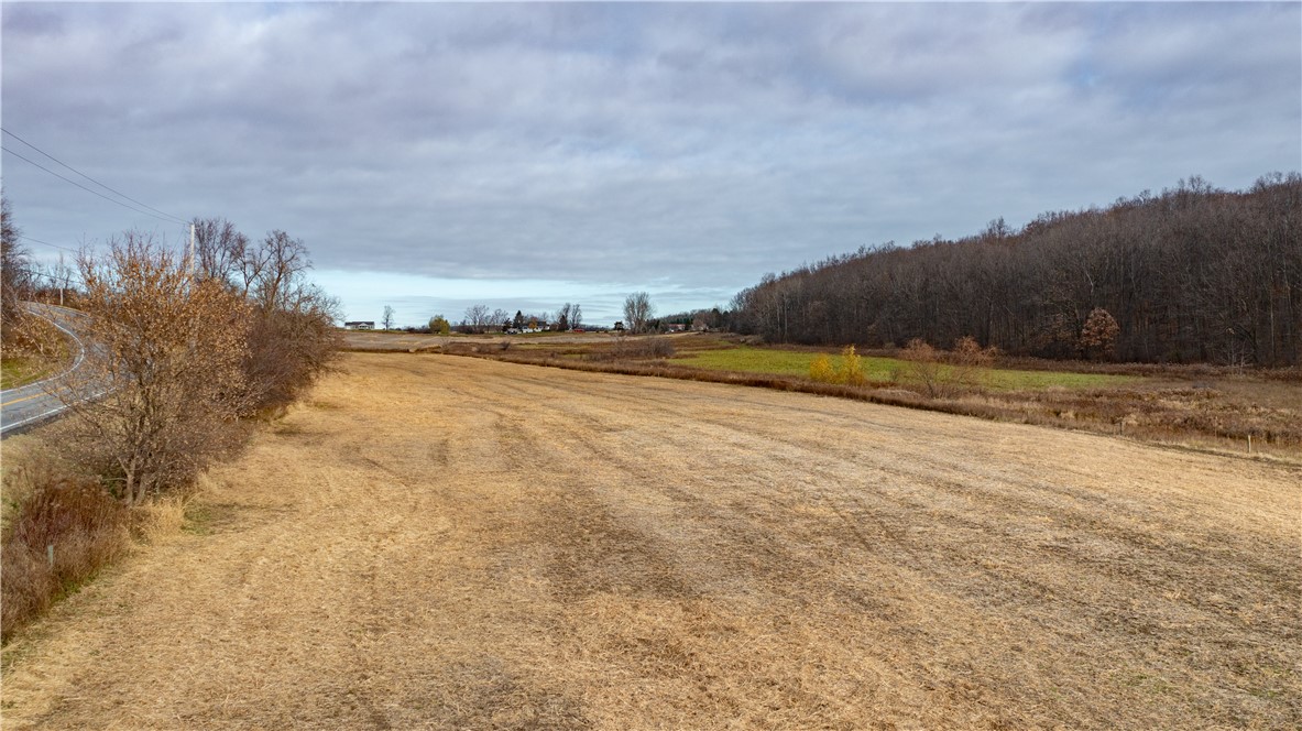 Woolhouse Road Canandaigua, NY 14424 - Photo 34 of 39