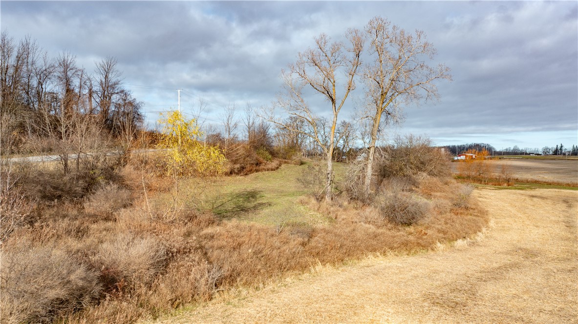 Woolhouse Road Canandaigua, NY 14424 - Photo 35 of 39