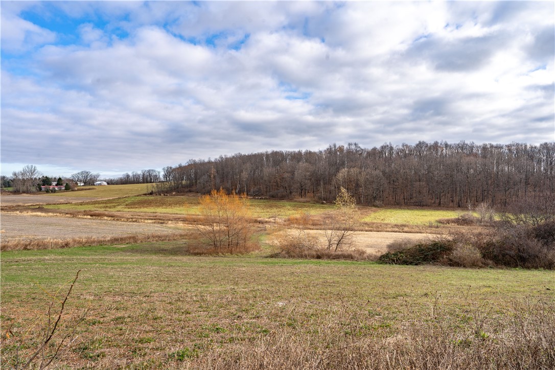 Woolhouse Road Canandaigua, NY 14424 - Photo 4 of 39