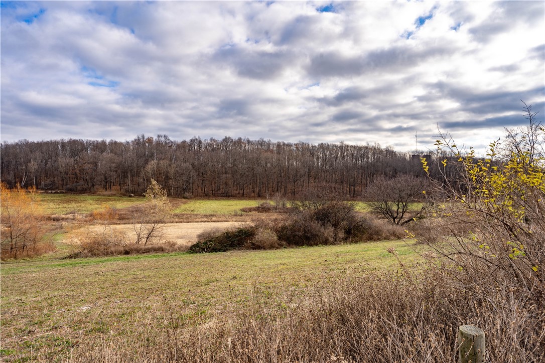 Woolhouse Road Canandaigua, NY 14424 - Photo 5 of 39