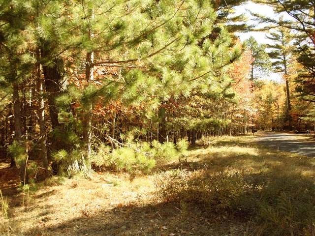 2424 Halberstadt Road St. Germain, WI 54558 - Photo 4 of 15 Gallery Image 4