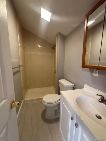 a bathroom with a sink and a toilet