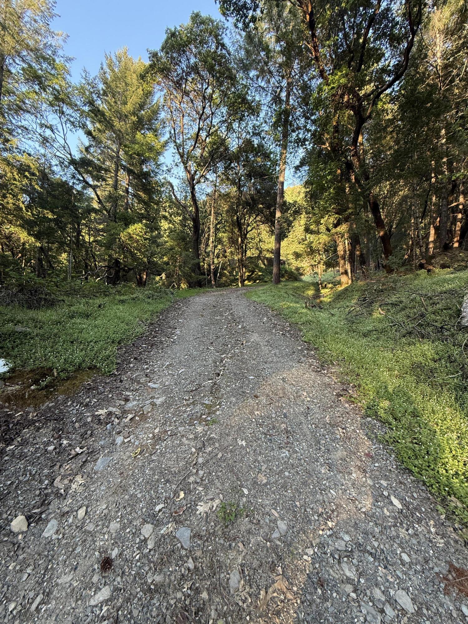 5680 Campbell Ridge Road Salyer, CA 95563 - Photo 2 of 14
