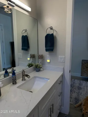 a bathroom with a sink and a mirror