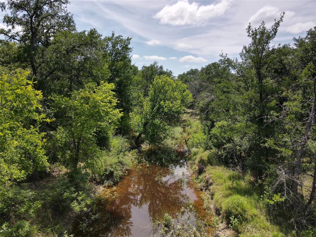 3976 Fm 1477 Comanche, TX 76442 - Photo 11 of 11 Natural stream bed with surrounding mature trees and dense vegetation