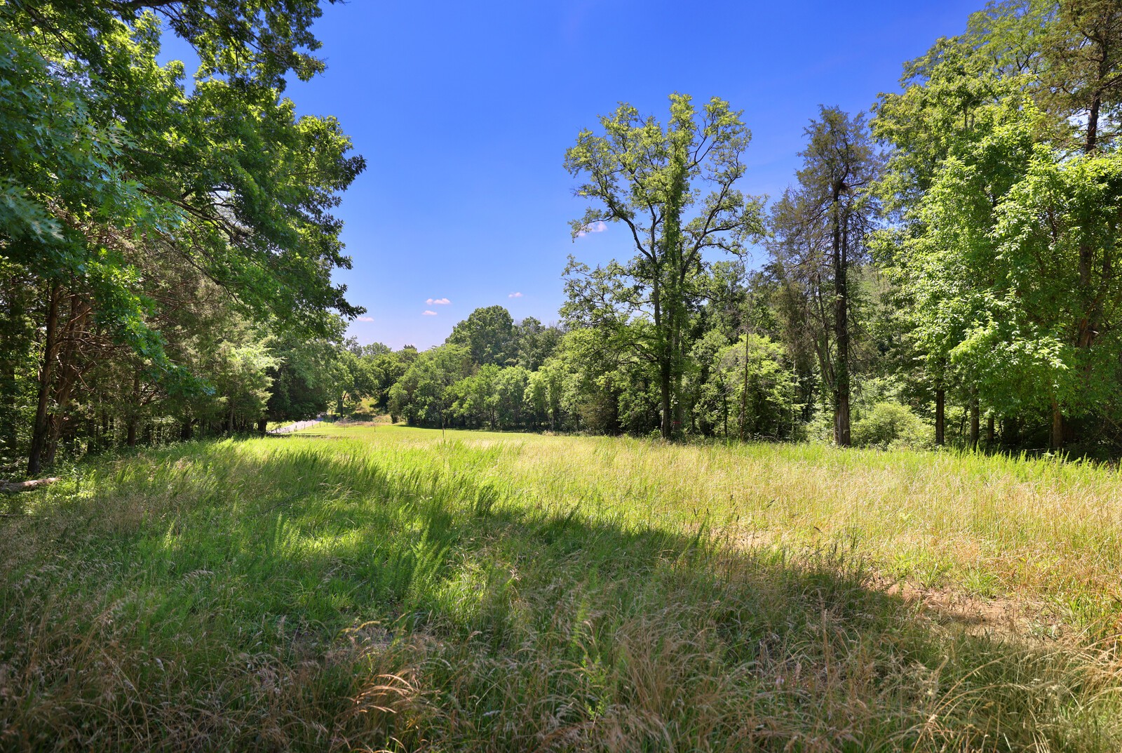 0 Wallace Road Gallatin, TN 37066 - Photo 8 of 23