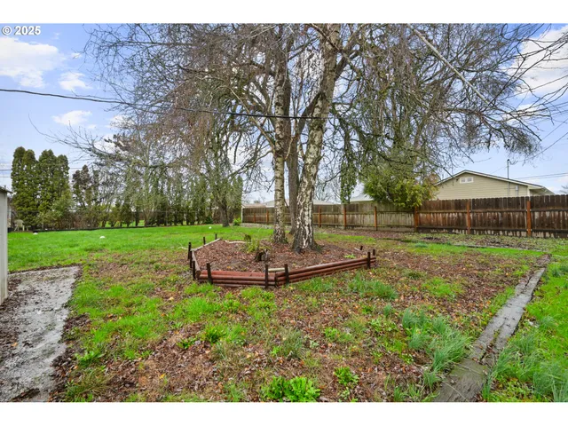 a view of a garden with an outdoor space