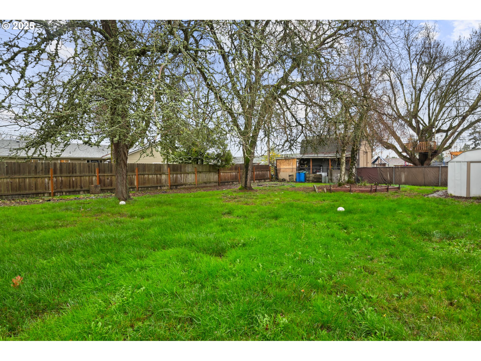2617 Southeast Fulton Street Albany, OR 97322 - Photo 32 of 35 a view of a park with large trees