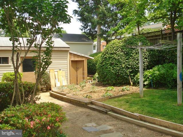 3714 Leverton Street Silver Spring, MD 20906 - Photo 22 of 24 a view of a house with a yard and large tree