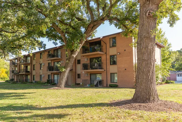 a view of a house with a yard and large tree