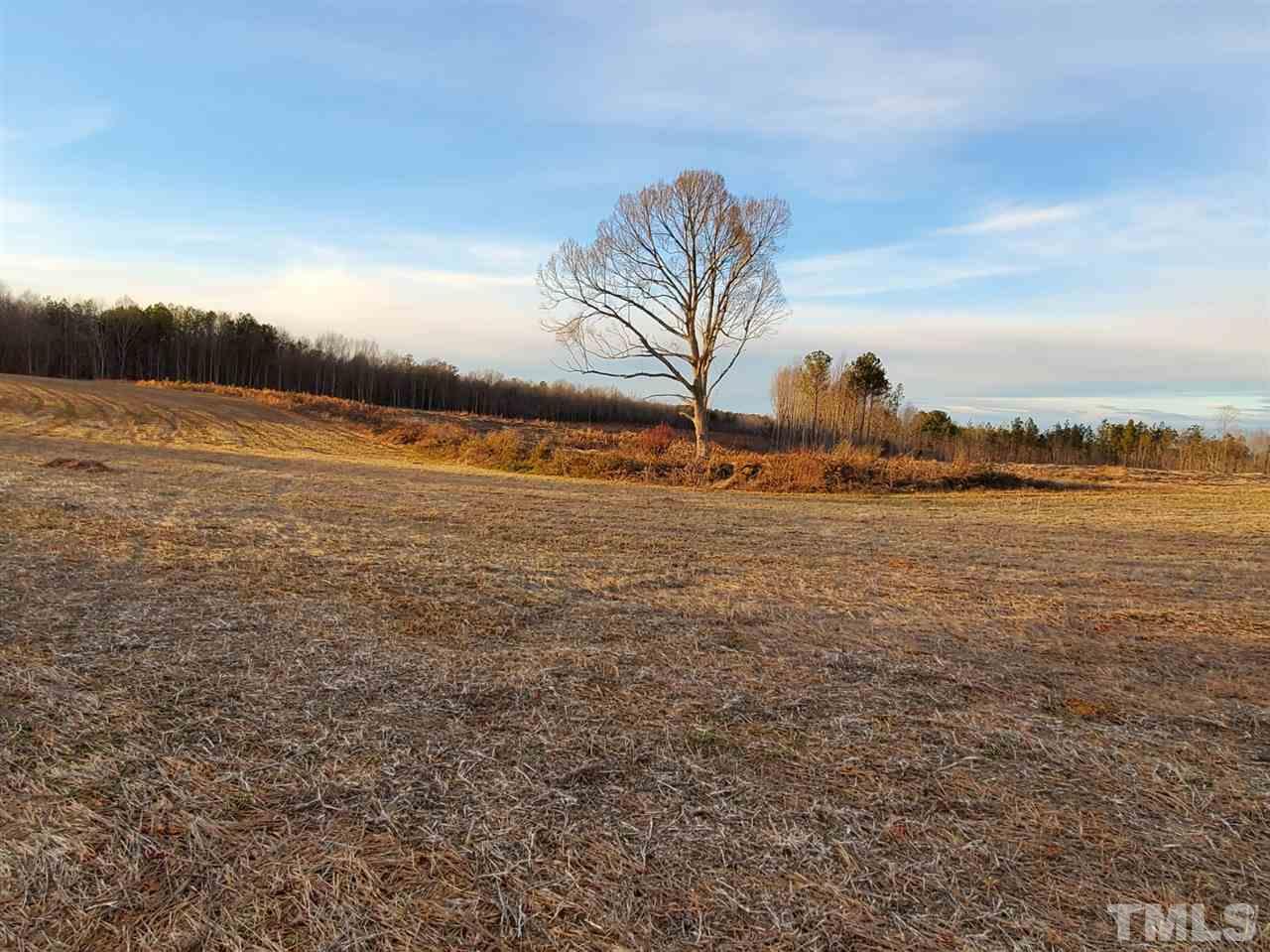 0 Trinity Church Road Louisburg, NC 27549 - Photo 2 of 4 Gallery Image 2