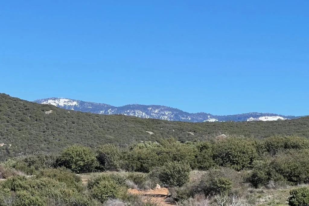 40 Sutherland Dam Road Ramona, CA 92065 - Photo 3 of 14 a view of a mountain range with a lush green hillside