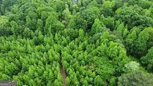 $55,000 | 0 Wildlife Lake Road, Summerville, GA 30747