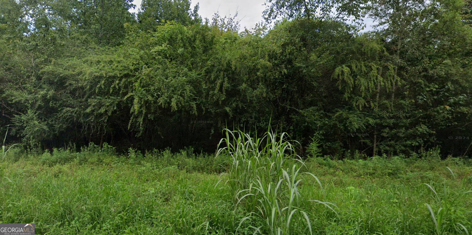 0 Wildlife Lake Road Summerville, GA 30747 - Photo 2 of 8