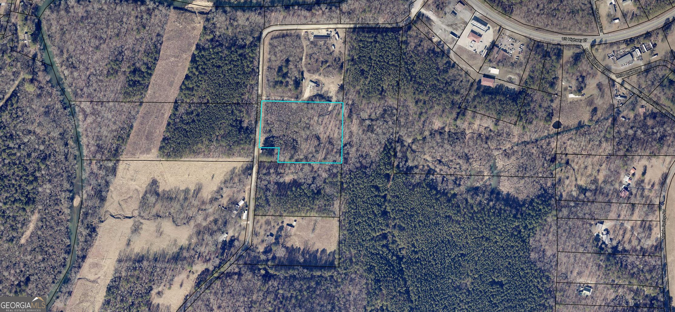 0 Wildlife Lake Road Summerville, GA 30747 - Photo 4 of 8