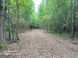 0 Wildlife Lake Road Summerville, GA 30747 - Photo 5 of 8