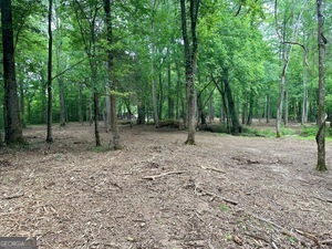 0 Wildlife Lake Road Summerville, GA 30747 - Photo 6 of 8