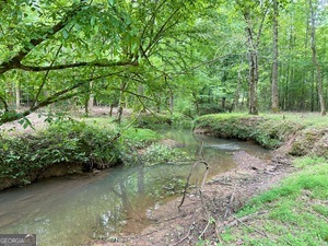 0 Wildlife Lake Road Summerville, GA 30747 - Photo 7 of 8