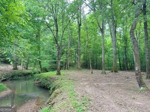 0 Wildlife Lake Road Summerville, GA 30747 - Photo 8 of 8