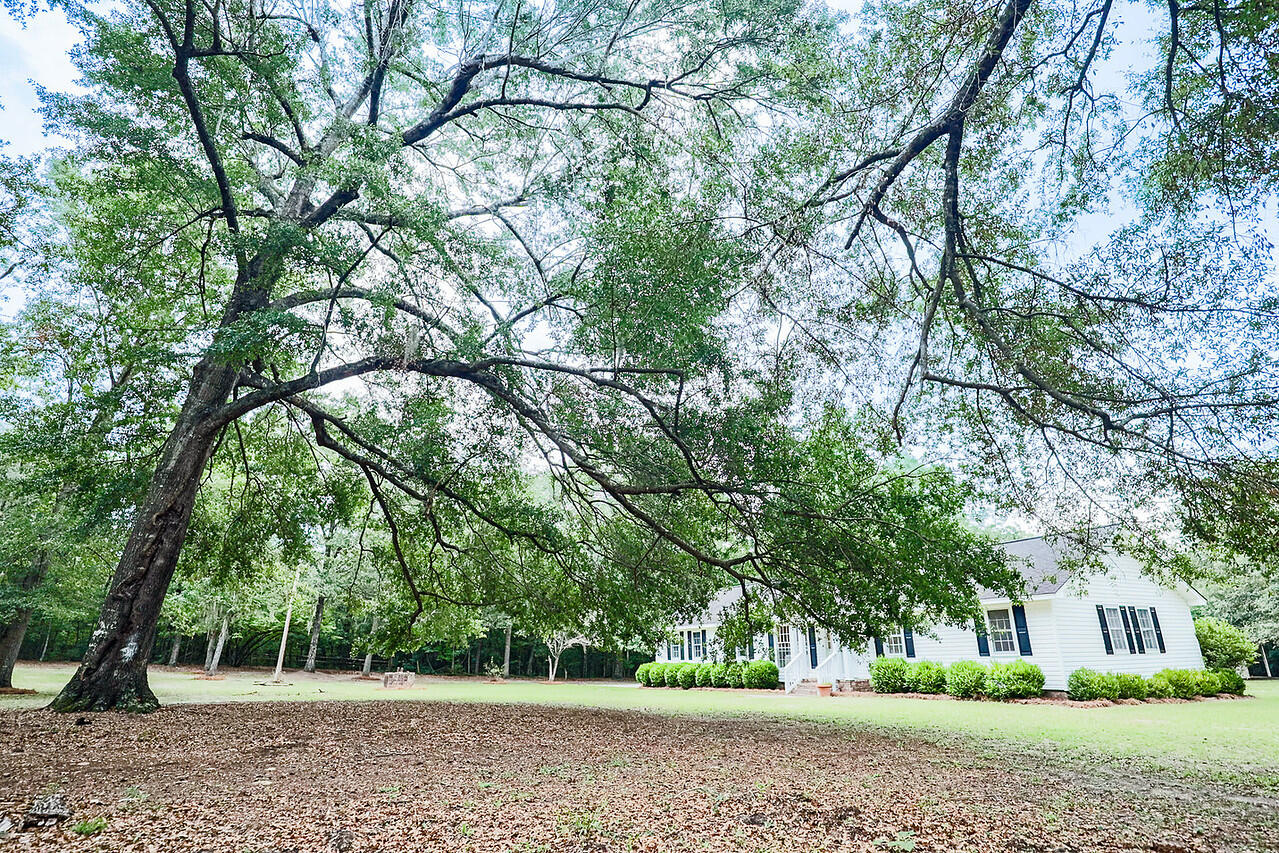 143 Fisk Road Dorchester, SC 29437 - Photo 5 of 50 GM-127