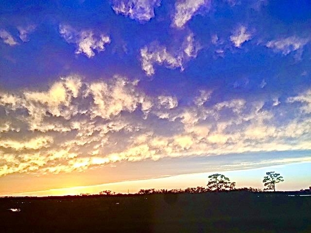 223 Sunset Point St. Augustine, FL 32080 - Photo 58 of 74