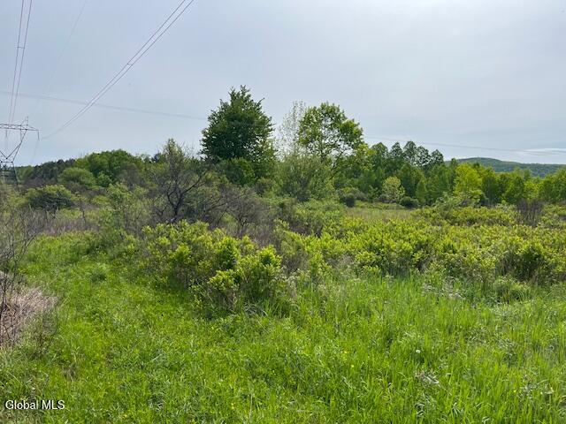 L9 Harrington Road Gilboa, NY 12076 - Photo 20 of 27 IMG_5386