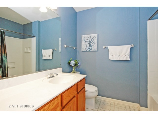 2883 Sorrel Row Lake In The Hills, IL 60156 - Photo 13 of 15