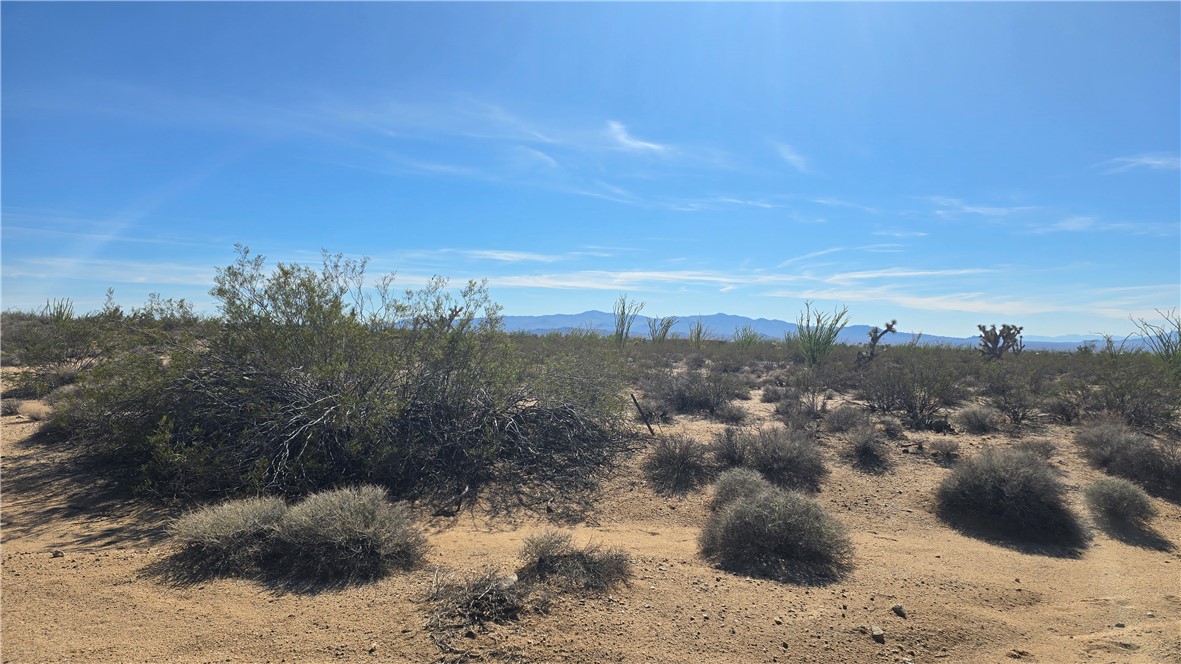 245-21-008 South Ray Road Yucca, AZ 86438 - Photo 12 of 19