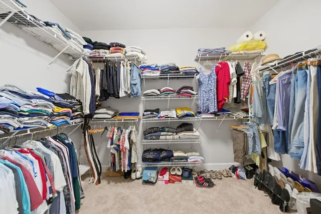 a view of a white house with a large tree