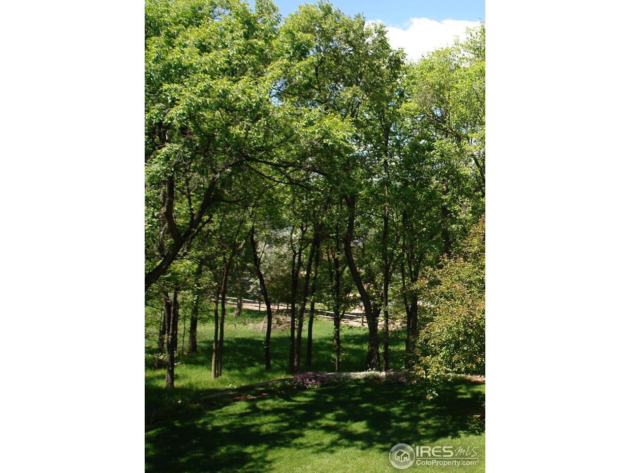 0 Shore Road Fort Collins, CO 80524 - Photo 1 of 5 Gallery Image 1