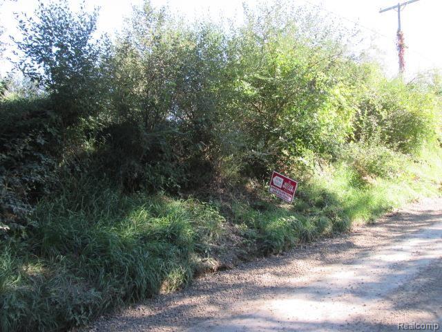 65338 Dequindre Road Washington, MI 48095 - Photo 21 of 28 IMG_0430.jpg