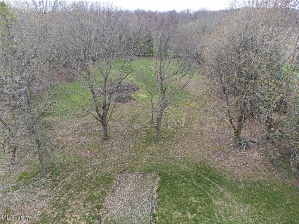 2615 Swartz Road Atwater, OH 44201 - Photo 35 of 38 Backyard
