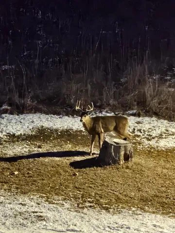 $599,900 | 809 60th Avenue Southwest, Rochester, MN 55902