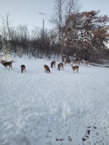 $599,900 | 809 60th Avenue Southwest, Rochester, MN 55902