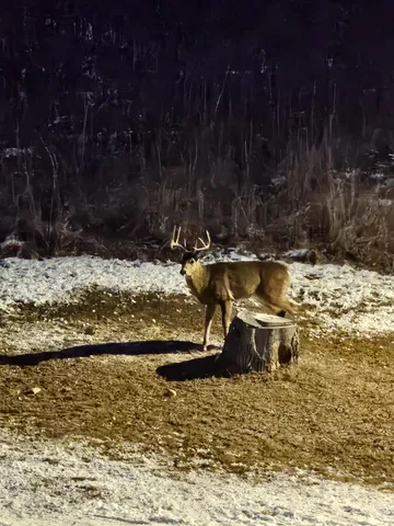 $599,900 | 809 60th Avenue Southwest, Rochester, MN 55902