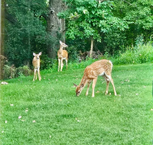 $599,900 | 809 60th Avenue Southwest, Rochester, MN 55902