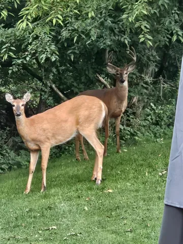 $599,900 | 809 60th Avenue Southwest, Rochester, MN 55902