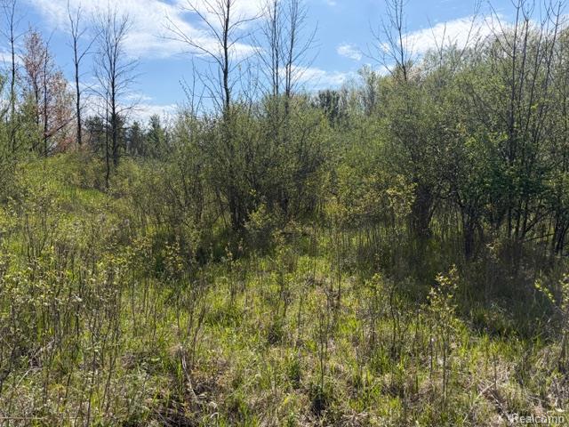Parcel A & B Parcel A & B Kelch Road Mayville, MI 48744 - Photo 3 of 6