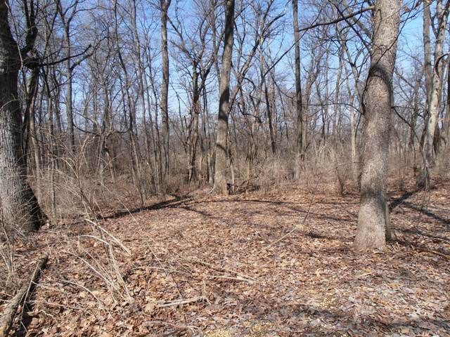 7313 South Ridge Road Dixon, IL 61021 - Photo 14 of 17