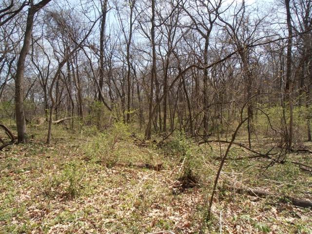 7313 South Ridge Road Dixon, IL 61021 - Photo 3 of 17