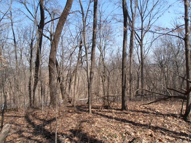 7313 South Ridge Road Dixon, IL 61021 - Photo 8 of 17