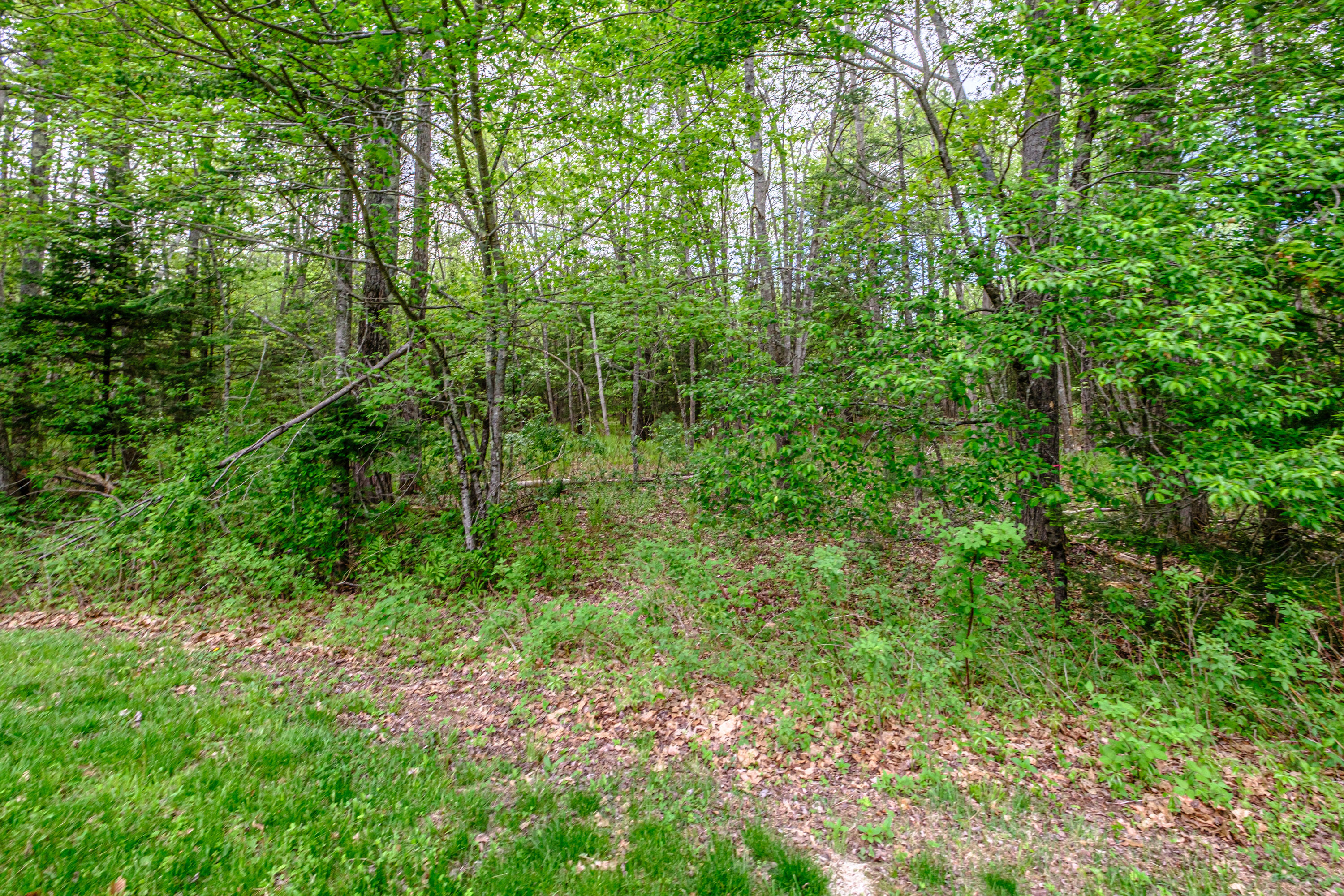 218 Middlesex Road Topsham, ME 04086 - Photo 59 of 62