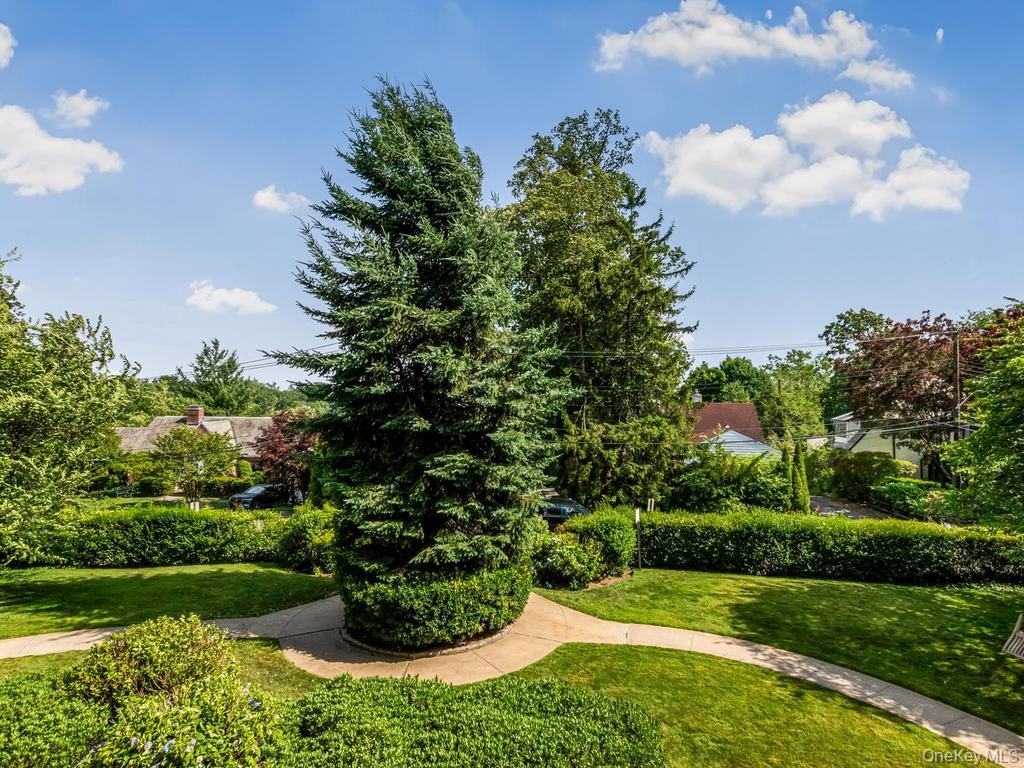 43 Calton Road, Unit 2J New Rochelle, NY 10804 - Photo 23 of 27 Gallery Image 23