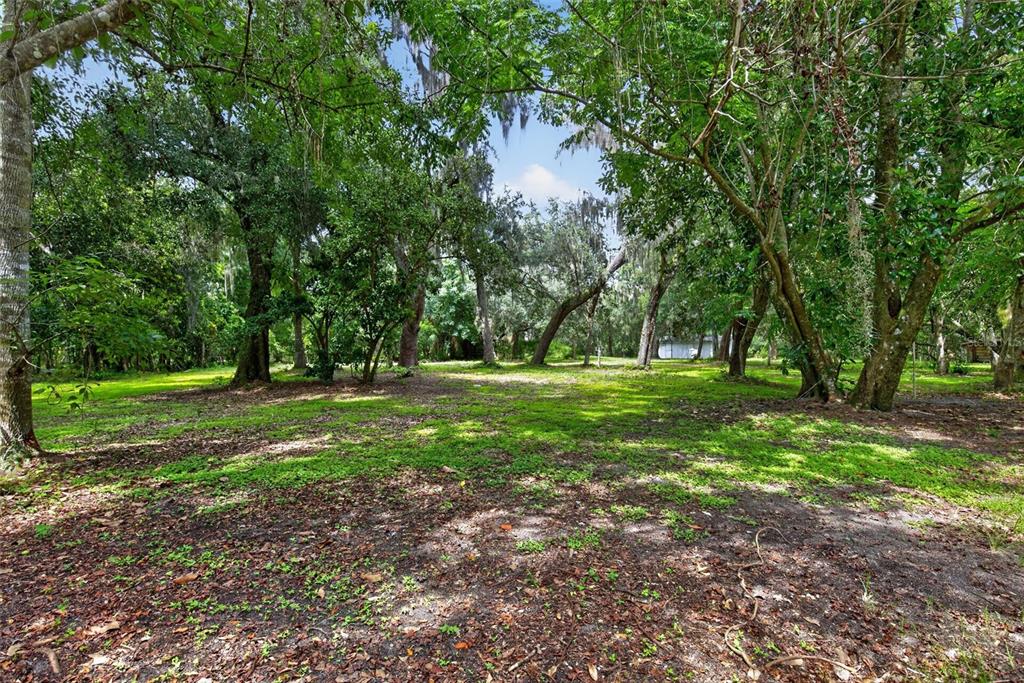 300 Scott Road Geneva, FL 32732 - Photo 60 of 87 Gallery Image 60