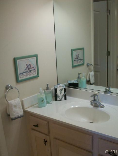 186 Heyer Road Nazareth, PA 18064 - Photo 39 of 49 a bathroom with a sink and a mirror