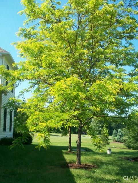 186 Heyer Road Nazareth, PA 18064 - Photo 44 of 49 a view of green field with plants