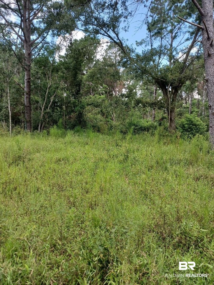 23281 Hill Road Silverhill, AL 36576 - Photo 9 of 13